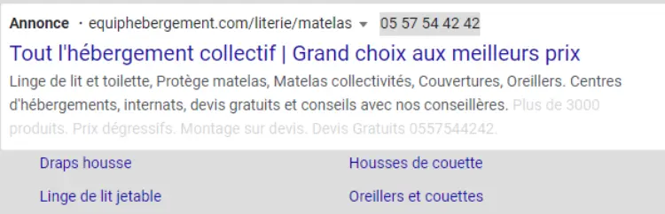 exemple d'annonce textuelle sur une campagne Search de Google Ads